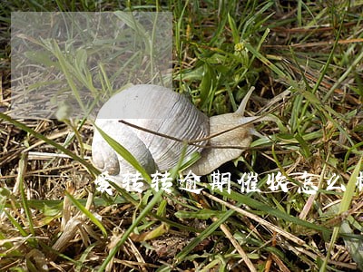 爱转转逾期催收怎么样 爱转转逾期催收怎么样