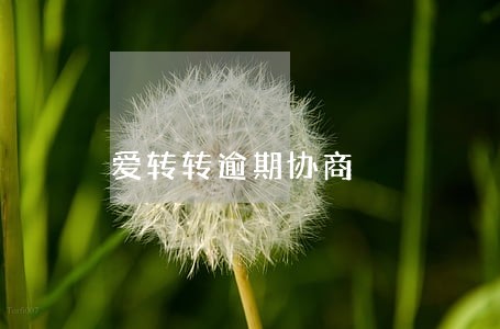 爱转转逾期协商