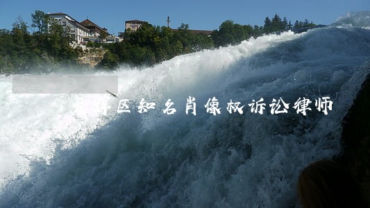 爱辉区知名肖像权诉讼律师 爱辉区知名肖像权诉讼律师