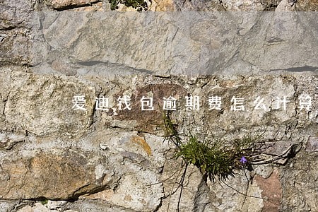 爱迪钱包逾期费怎么计算 爱迪钱包逾期费怎么计算