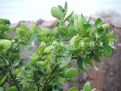 爱钱进可以撤销逾期记录吗 爱钱进可以撤销逾期记录吗