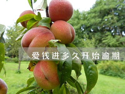 爱钱进多久开始逾期 爱钱进多久开始逾期