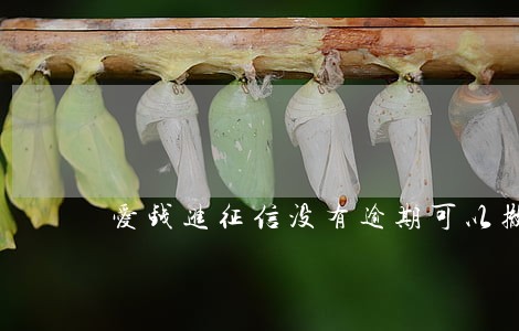 爱钱进征信没有逾期可以撤销吗 爱钱进征信没有逾期可以撤销吗