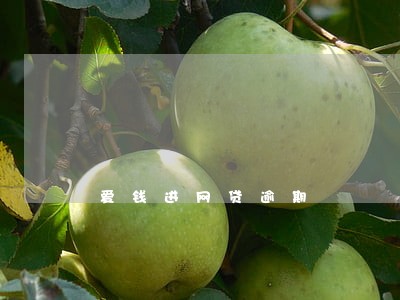 爱钱进网贷逾期 爱钱进网贷逾期