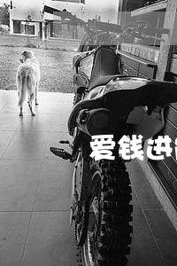 爱钱进能协商只还本金吗 爱钱进能协商只还本金吗