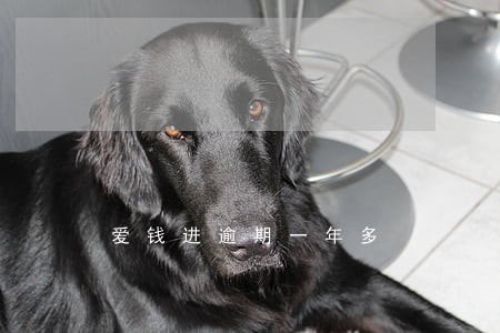 爱钱进逾期一年多 爱钱进逾期一年多