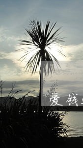 爱钱进逾期上征信怎么消除 爱钱进逾期上征信怎么消除