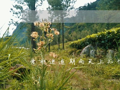 爱钱进逾期两天上征信 爱钱进逾期两天上征信