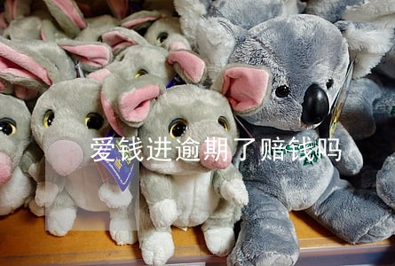 爱钱进逾期了赔钱吗 爱钱进逾期了赔钱吗