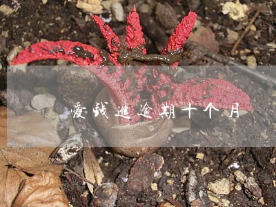 爱钱进逾期十个月 爱钱进逾期十个月