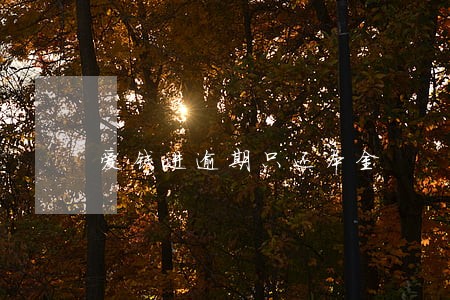 爱钱进逾期只还本金 爱钱进逾期只还本金