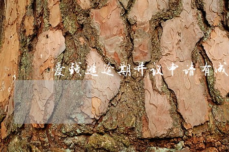 爱钱进逾期异议申请有成功的么 爱钱进逾期异议申请有成功的么