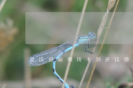 爱钱进逾期找不到还钱地方 爱钱进逾期找不到还钱地方
