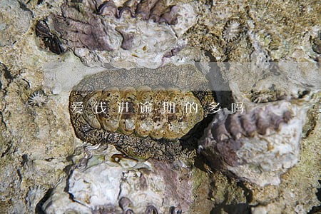 爱钱进逾期的多吗 爱钱进逾期的多吗