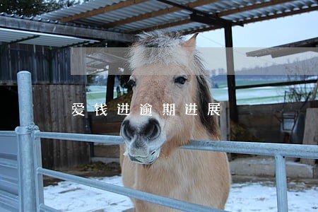 爱钱进逾期进展 爱钱进逾期进展