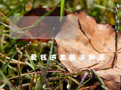 爱钱进金额逾期率 爱钱进金额逾期率