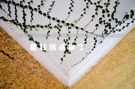 爱钱钱逾期了 爱钱钱逾期了