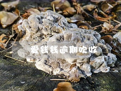 爱钱钱逾期吹收 爱钱钱逾期吹收