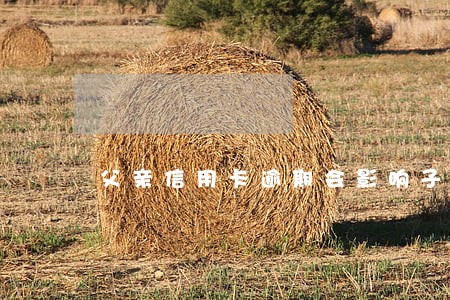 父亲信用卡逾期会影响子女吗 父亲信用卡逾期会影响子女吗