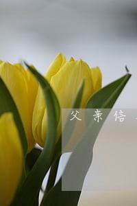 父亲信用卡逾期协助调查 父亲信用卡逾期协助调查