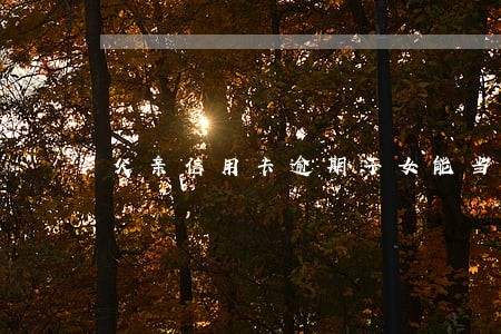 父亲信用卡逾期子女能当兵吗 父亲信用卡逾期子女能当兵吗