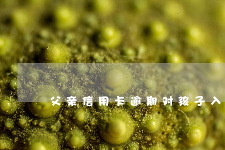 父亲信用卡逾期对孩子入党有影响吗 父亲信用卡逾期对孩子入党有影响吗