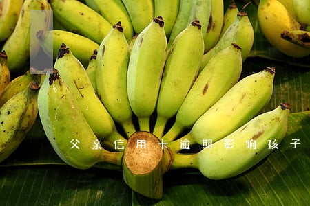 父亲信用卡逾期影响孩子考军校吗