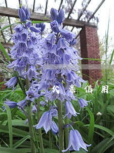 父亲信用卡逾期怎么面对这种 父亲信用卡逾期怎么面对这种