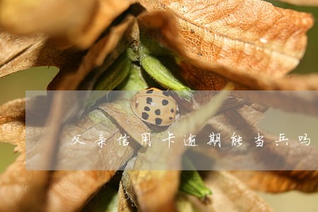 父亲信用卡逾期能当兵吗 父亲信用卡逾期能当兵吗