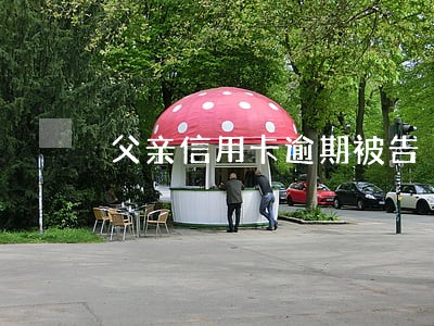 父亲信用卡逾期被告 父亲信用卡逾期被告