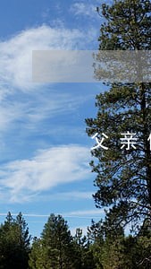 父亲借款逾期儿子担保 父亲借款逾期儿子担保