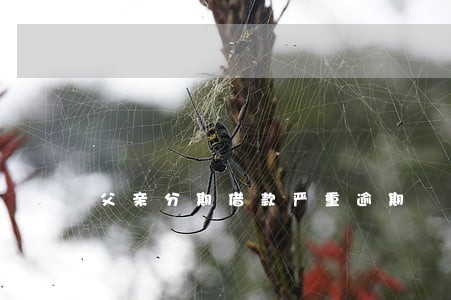 父亲分期借款严重逾期 父亲分期借款严重逾期