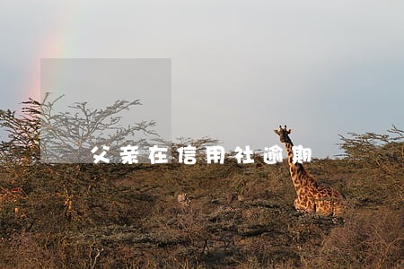 父亲在信用社逾期 父亲在信用社逾期