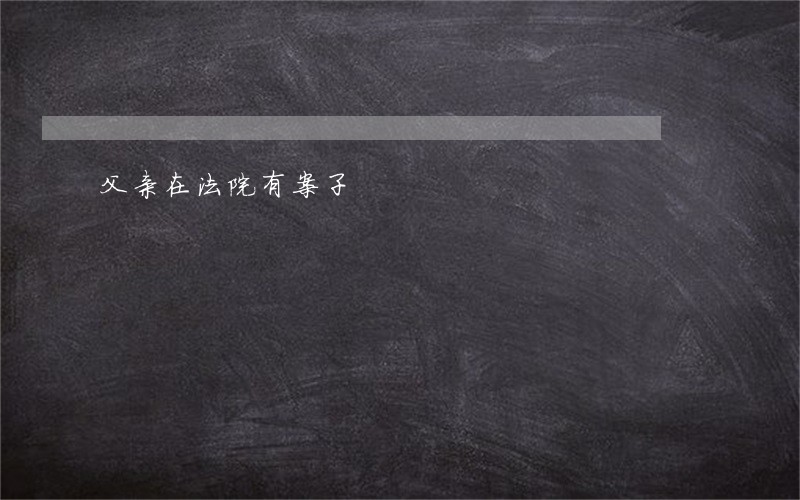 父亲在法院有案子 父亲在法院有案子