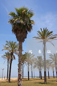 父亲征信有逾期儿女贷款