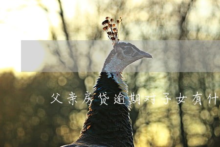 父亲房贷逾期对子女有什么影响 父亲房贷逾期对子女有什么影响