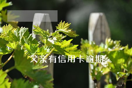 父亲有信用卡逾期 父亲有信用卡逾期