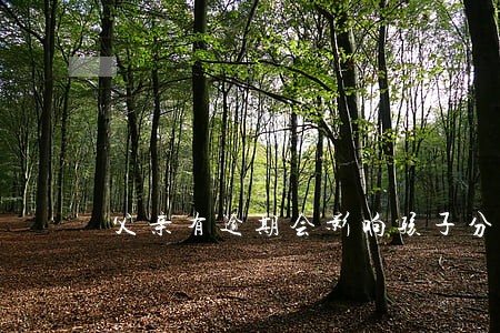 父亲有逾期会影响孩子分期买车吗