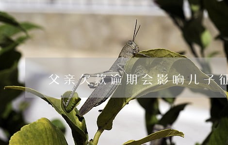 父亲欠款逾期会影响儿子征信吗 父亲欠款逾期会影响儿子征信吗