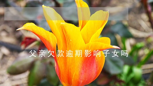 父亲欠款逾期影响子女吗 父亲欠款逾期影响子女吗