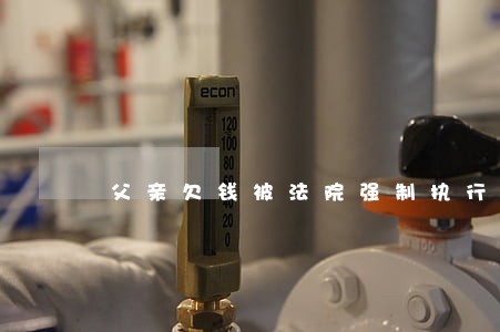 父亲欠钱被法院强制执行对