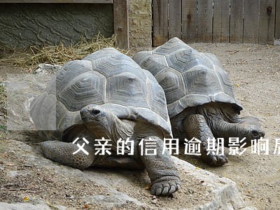 父亲的信用逾期影响后代吗 父亲的信用逾期影响后代吗