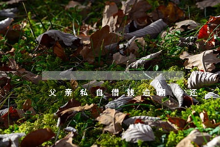 父亲私自借钱逾期未还 父亲私自借钱逾期未还