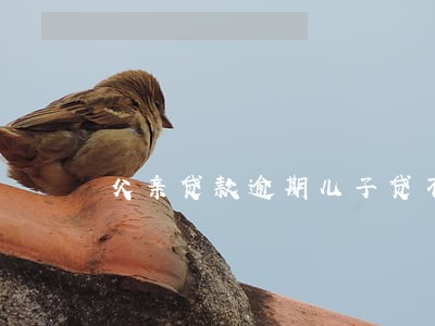 父亲贷款逾期儿子贷不了款 父亲贷款逾期儿子贷不了款