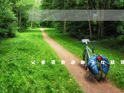 父亲贷款逾期子女能贷款吗 父亲贷款逾期子女能贷款吗