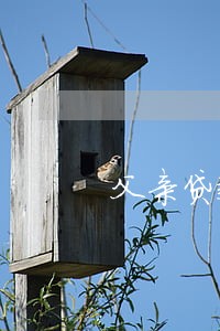 父亲贷款逾期影响儿 父亲贷款逾期影响儿