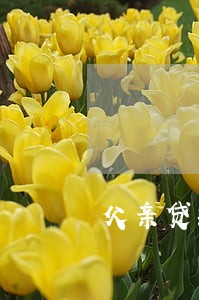 父亲贷款逾期影响子女征信吗 父亲贷款逾期影响子女征信吗