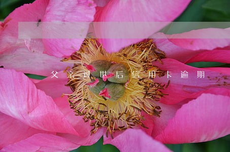 父亲过世后信用卡逾期