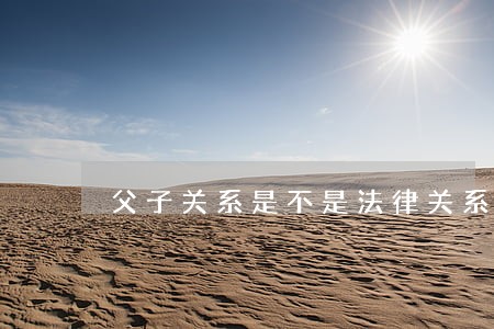 父子关系是不是法律关系 父子关系是不是法律关系