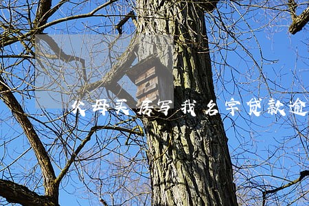 父母买房写我名字贷款逾期 父母买房写我名字贷款逾期